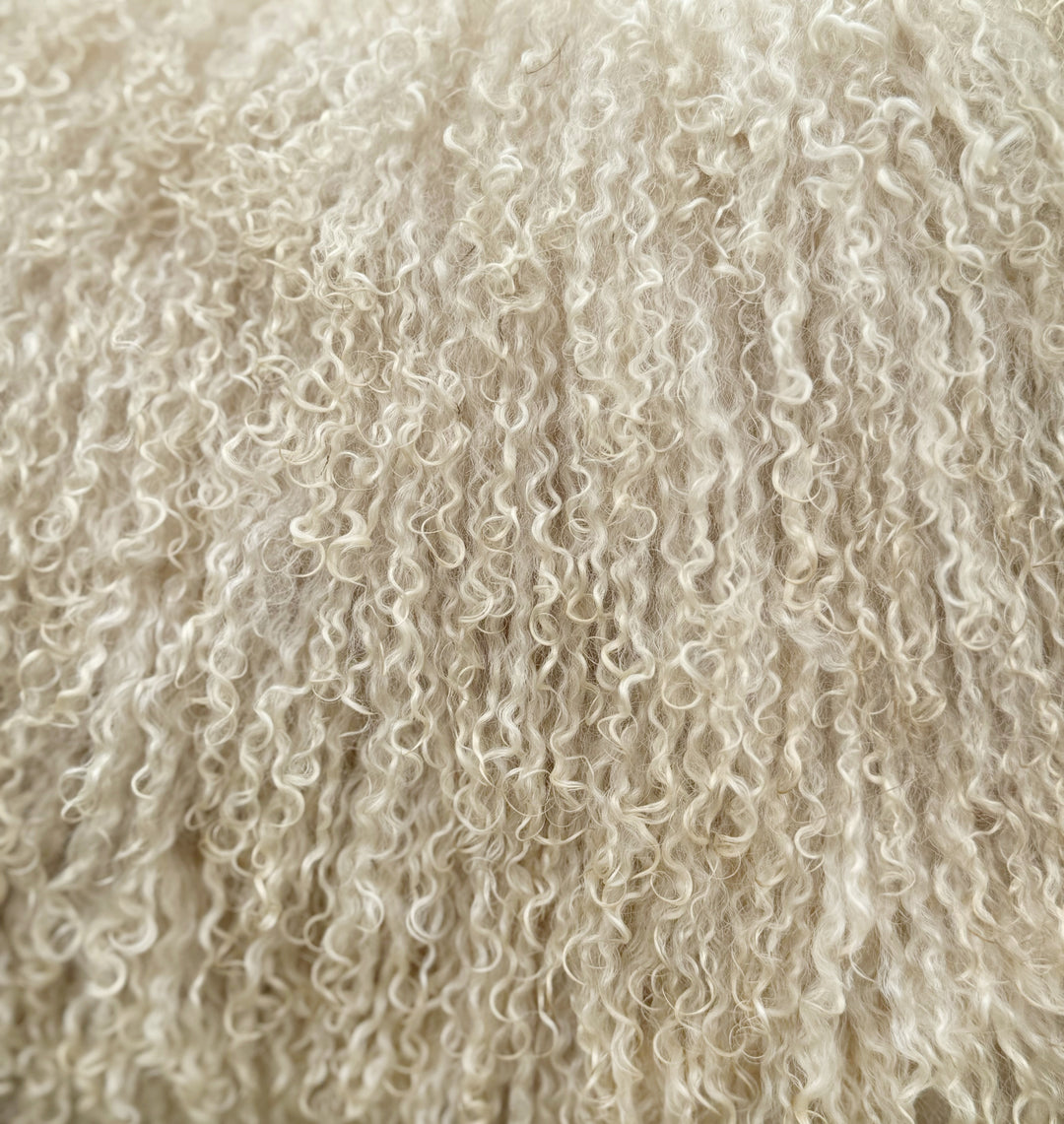 Meryl Sheep