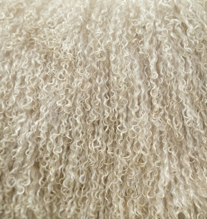 Meryl Sheep